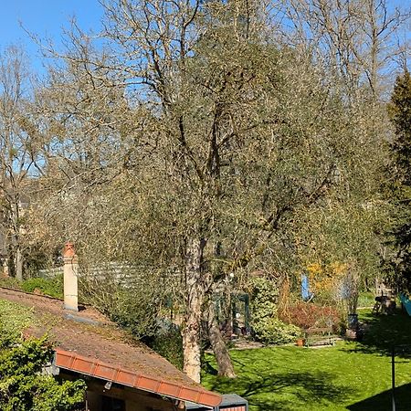 La Maison D'A Cote Saint-Amand-en-Puisaye Dış mekan fotoğraf