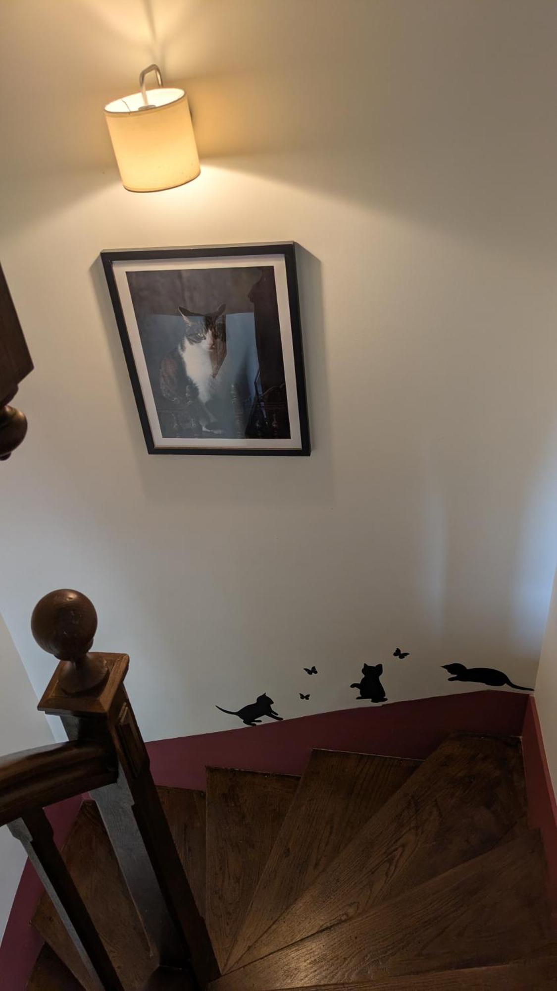La Maison D'A Cote Saint-Amand-en-Puisaye Dış mekan fotoğraf